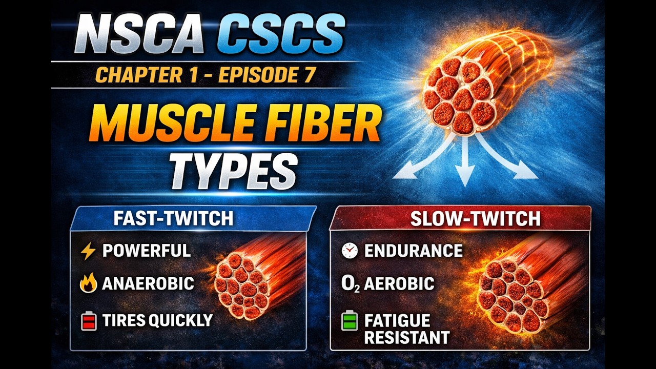 NSCA CSCS Chapter 1 | Episode 7: Muscle Fiber Types Explained (Fast vs Slow Twitch)