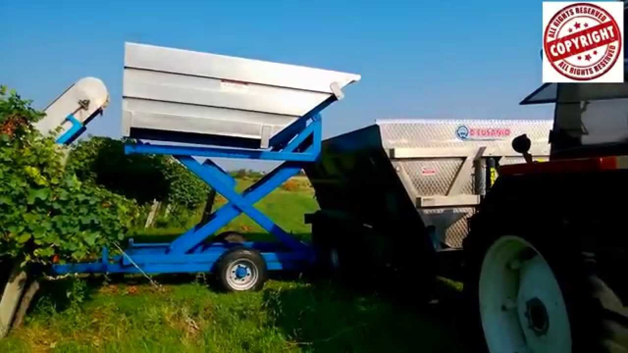 Paterlini Vendemmiatrice  Italia,Modena,Bomporto
