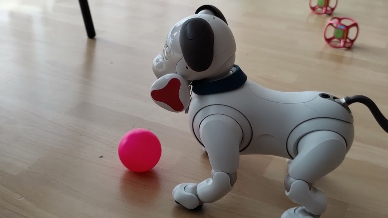 Muffit the Aibo ERS-1000 - Muffit Shows a New Aibone Trick!