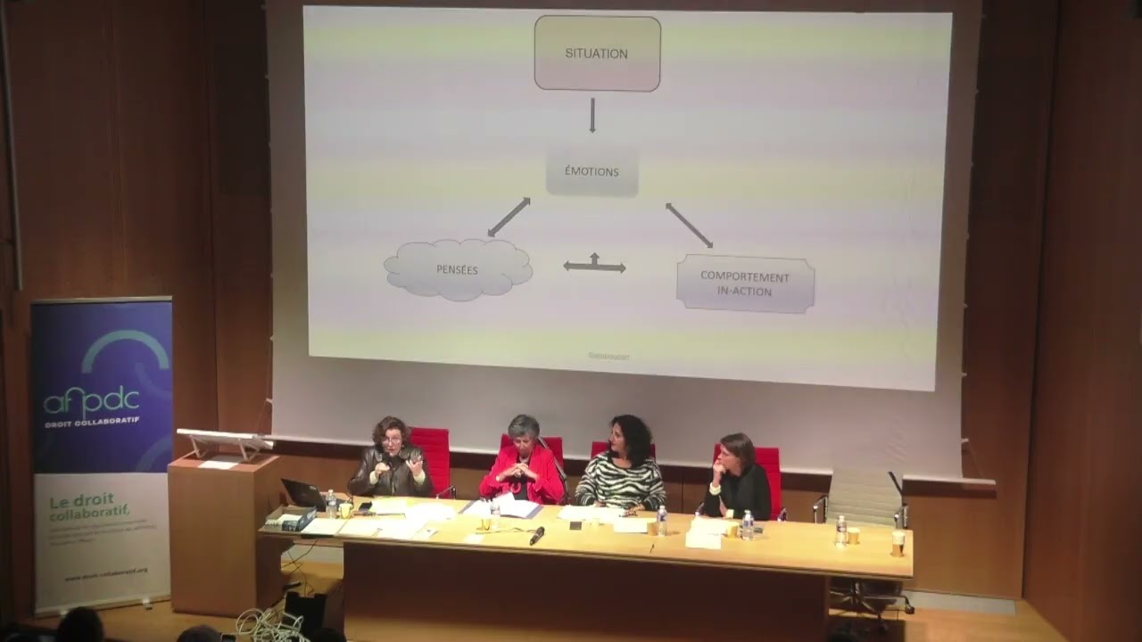 COLLOQUE 2025 AFPDC Table 2