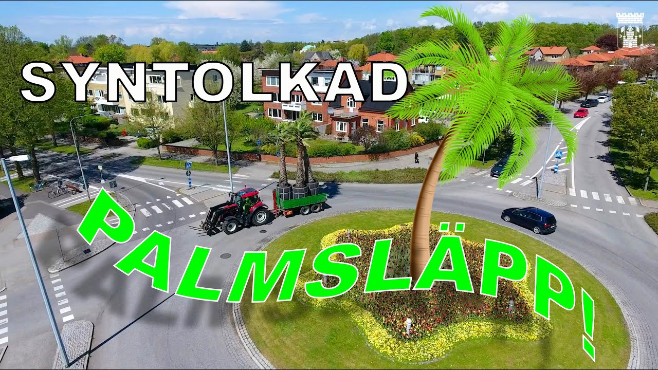 Palmsläpp i Trelleborg 2021 - syntolkat