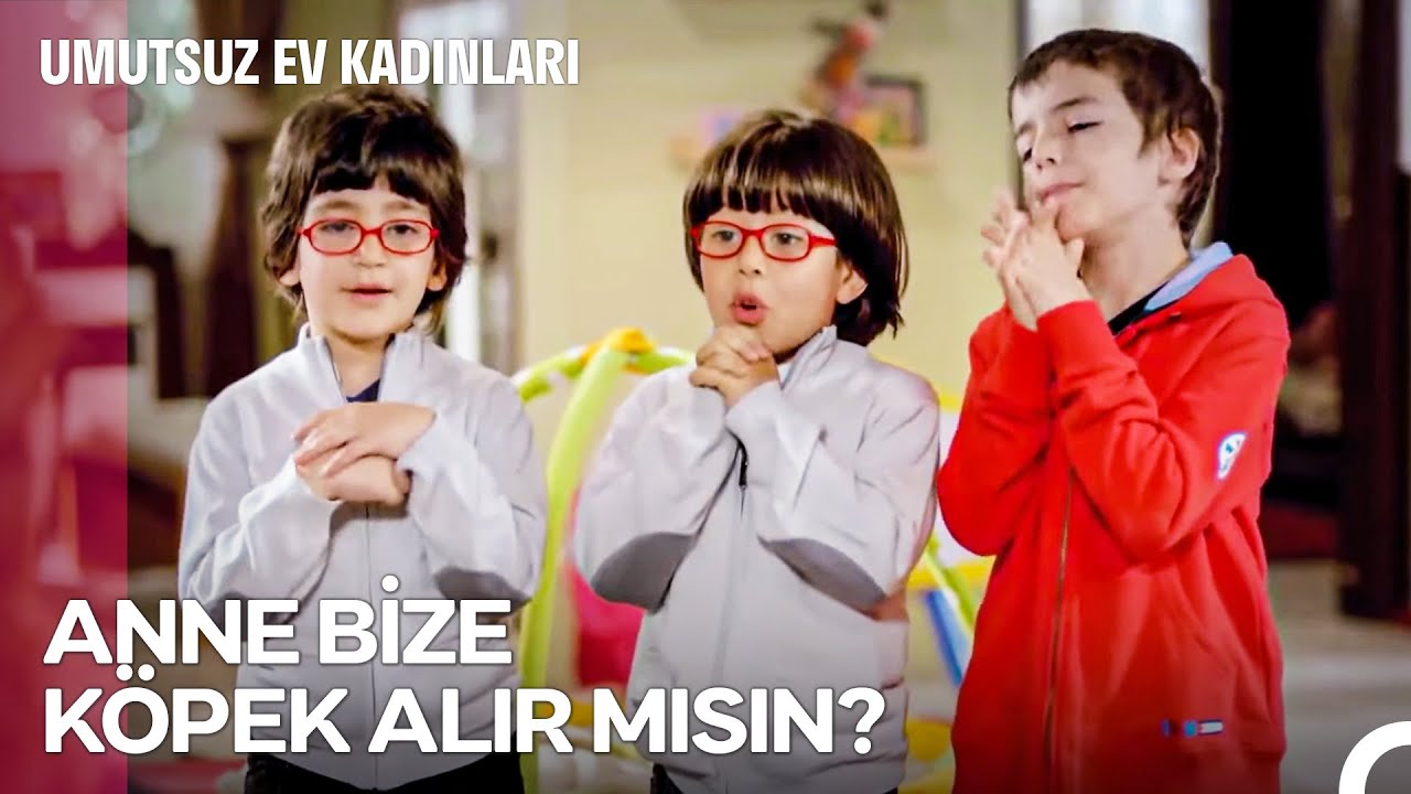 Mahallenin Haylazları #39: Çocukların Evcil Hayvan İsteği - Umutsuz Ev Kadınları