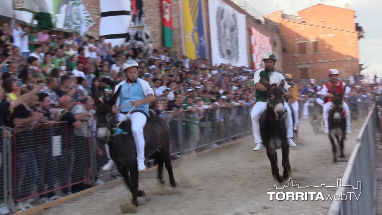 Finale e Festeggiamenti Palio dei Somari 2022