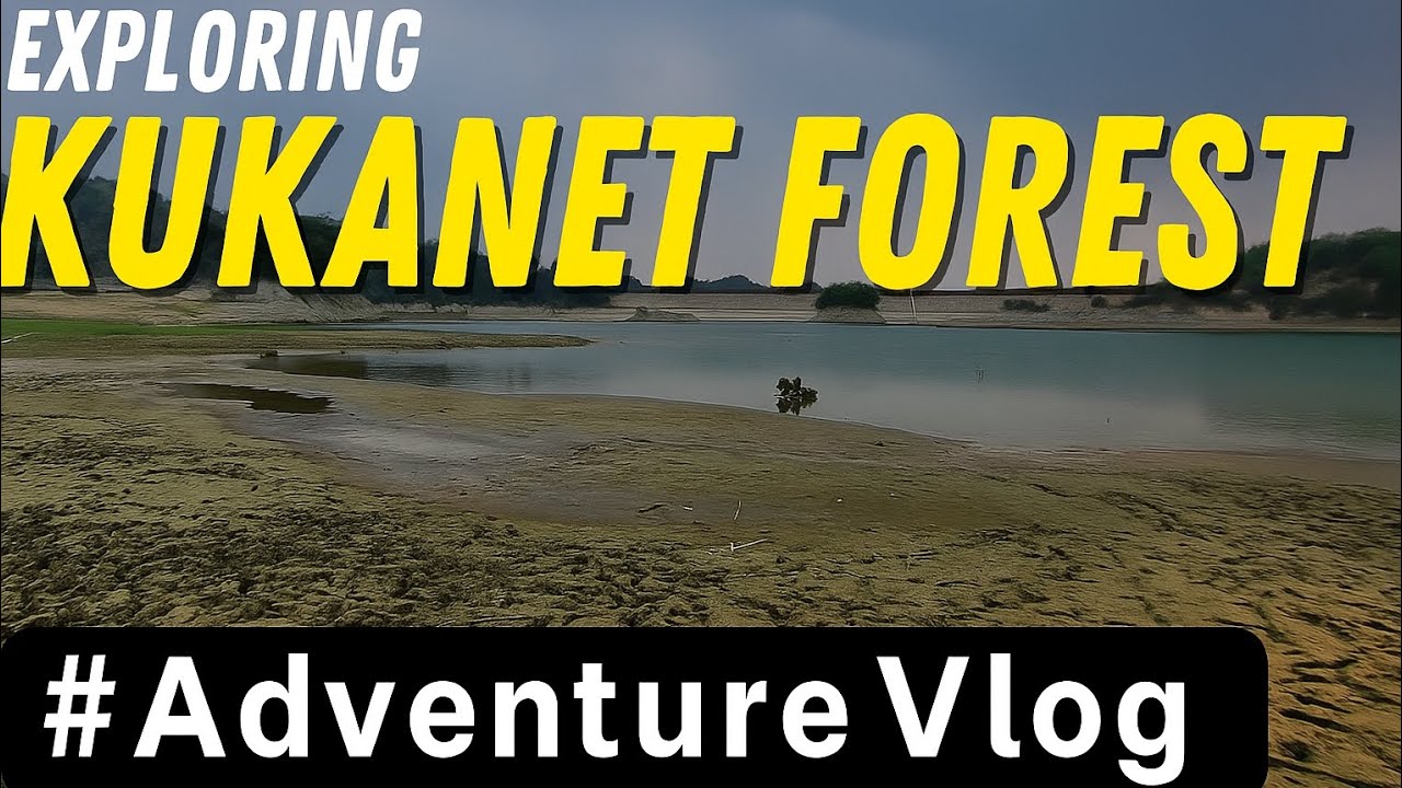 Unseen Kukanet Forest! Off-Road Journey Through Punjab's Hidden Jungle Trail #travel #love 