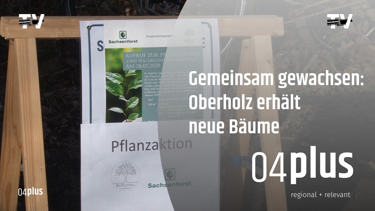Pflanzaktion im Oberholz