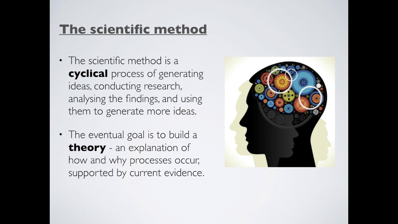The scientific method and the research process