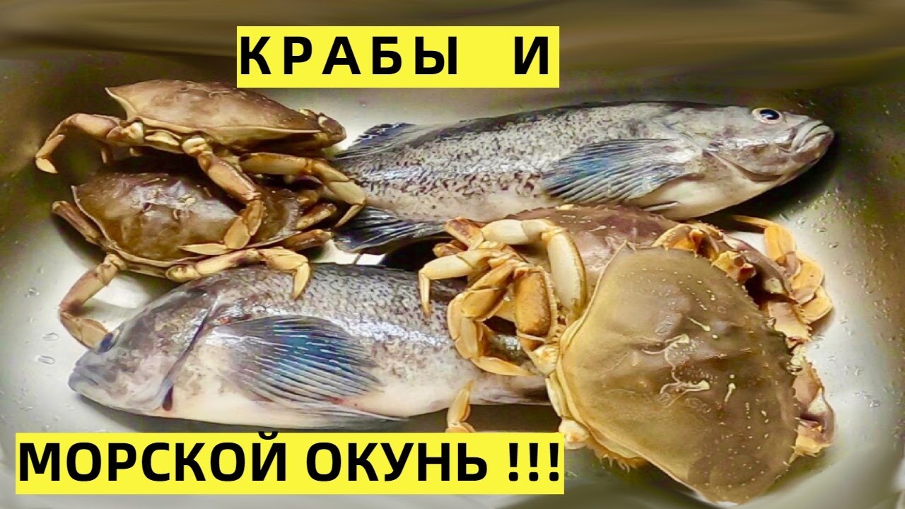 КРАБЫ  И МОРСКОЙ ОКУНЬ НА ТИХОМ ОКЕАНЕ В США!