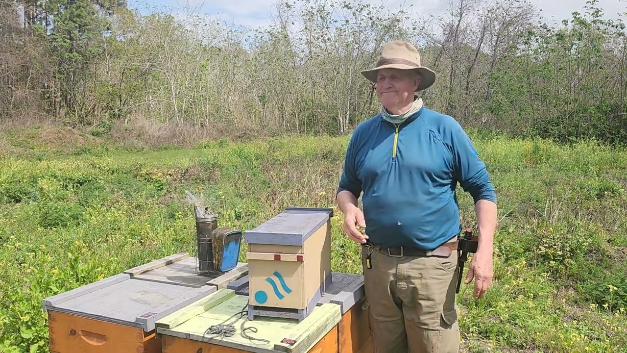 Making A New Bee Buddy Hive