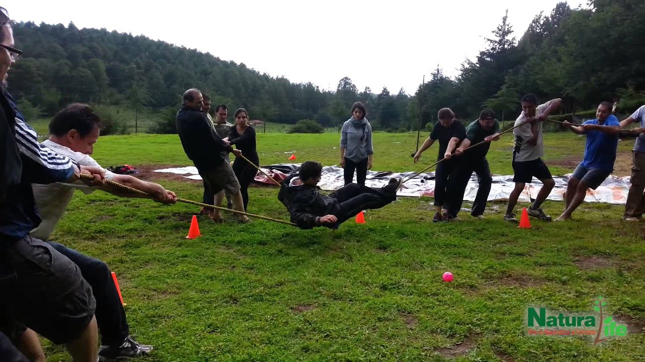 NaturaLife Campamentos (Actividades)