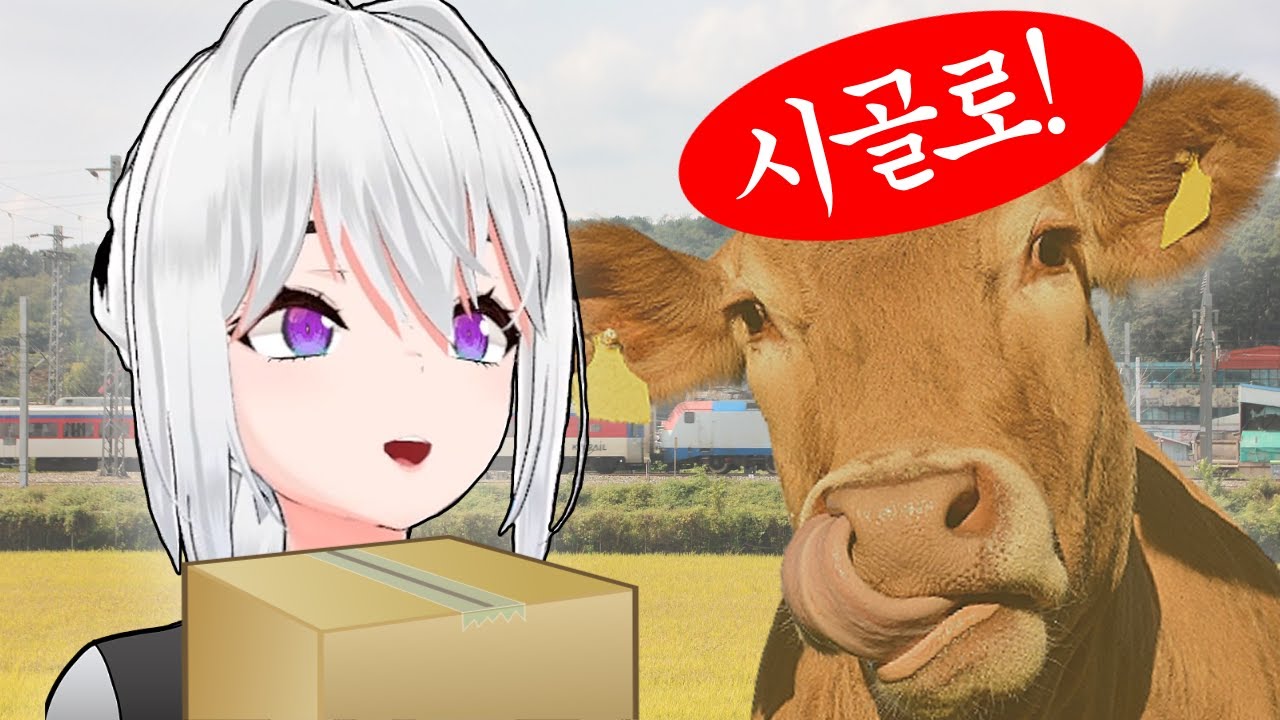 이사갑니다