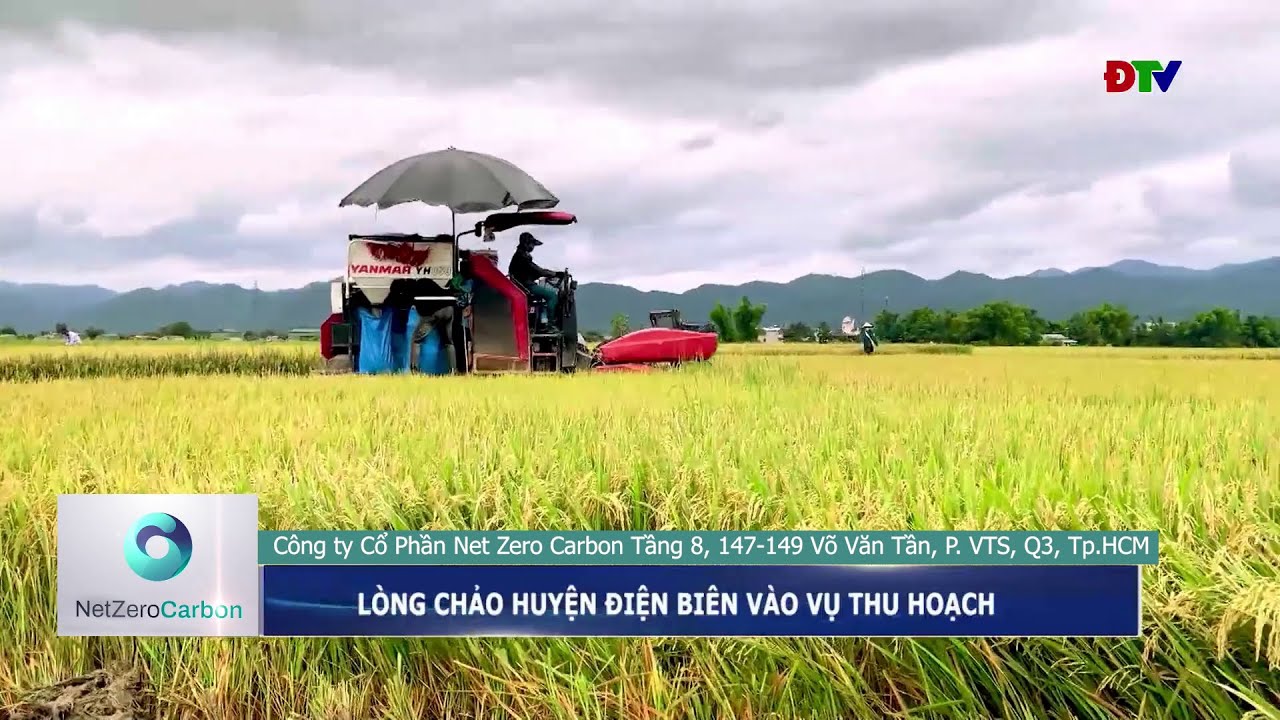 🌾 Điện Biên bước vào mùa vàng lúa thông minh – Phát triển xanh, bền vững!
