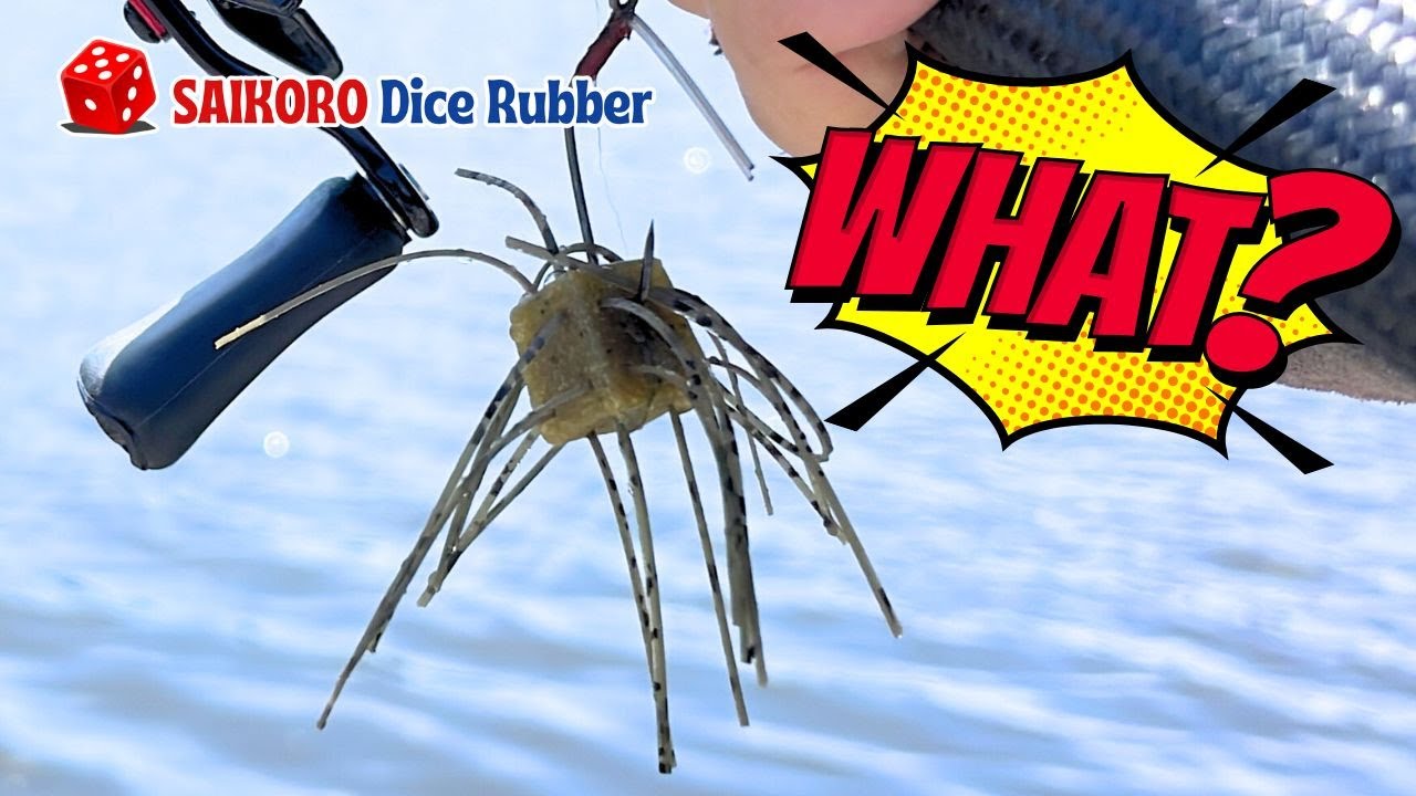This Lure Changed the Game! OSP Saikoro Rubber Explained!