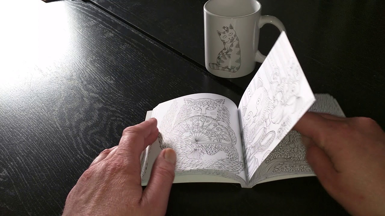 Livre de Coloriage anti-stress adulte. À chacun son chat