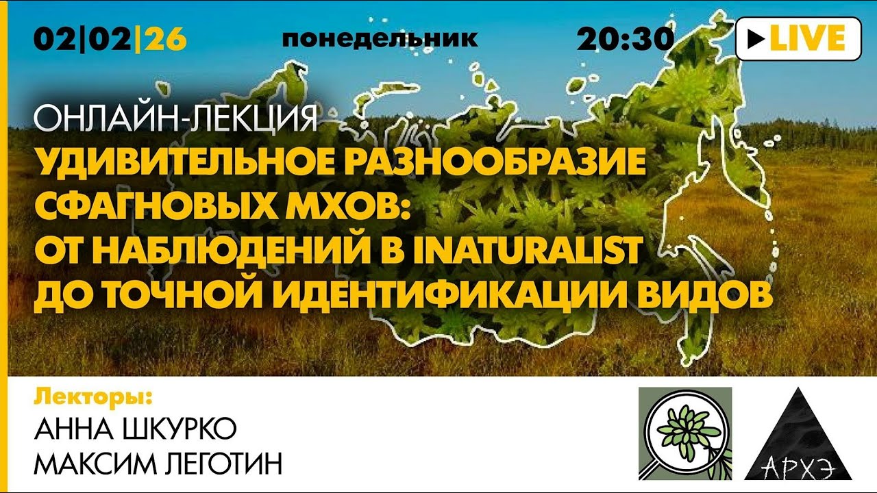 Лекция Максима Леготина «Удивительное разнообразие сфагновых мхов: наблюдения и идентификация видов»