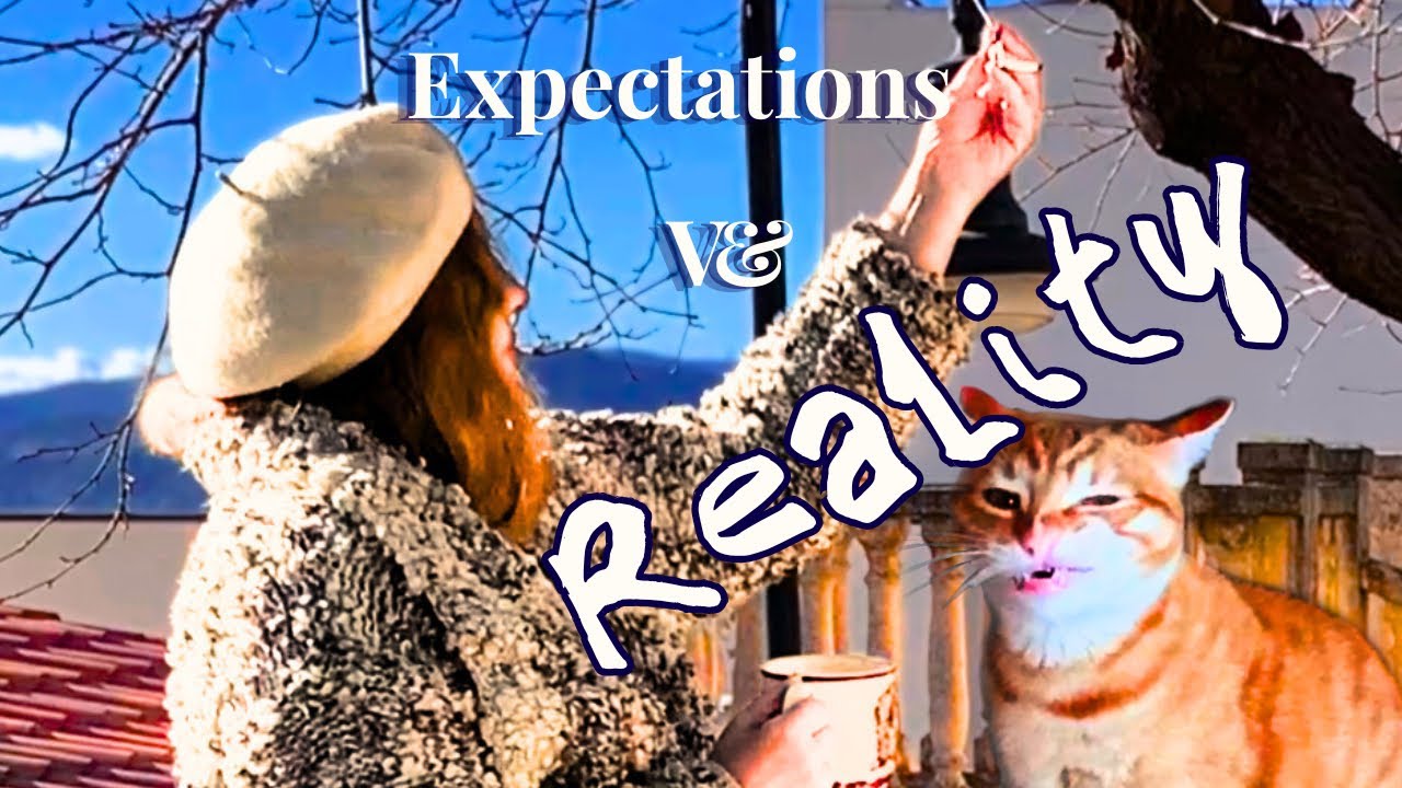 Did you know that a cat can disrupt your slow living? | Expectation vs Reality | Silent Vlog