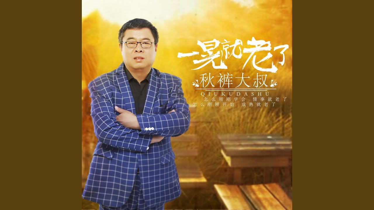 一晃就老了 (DJ何鹏版)