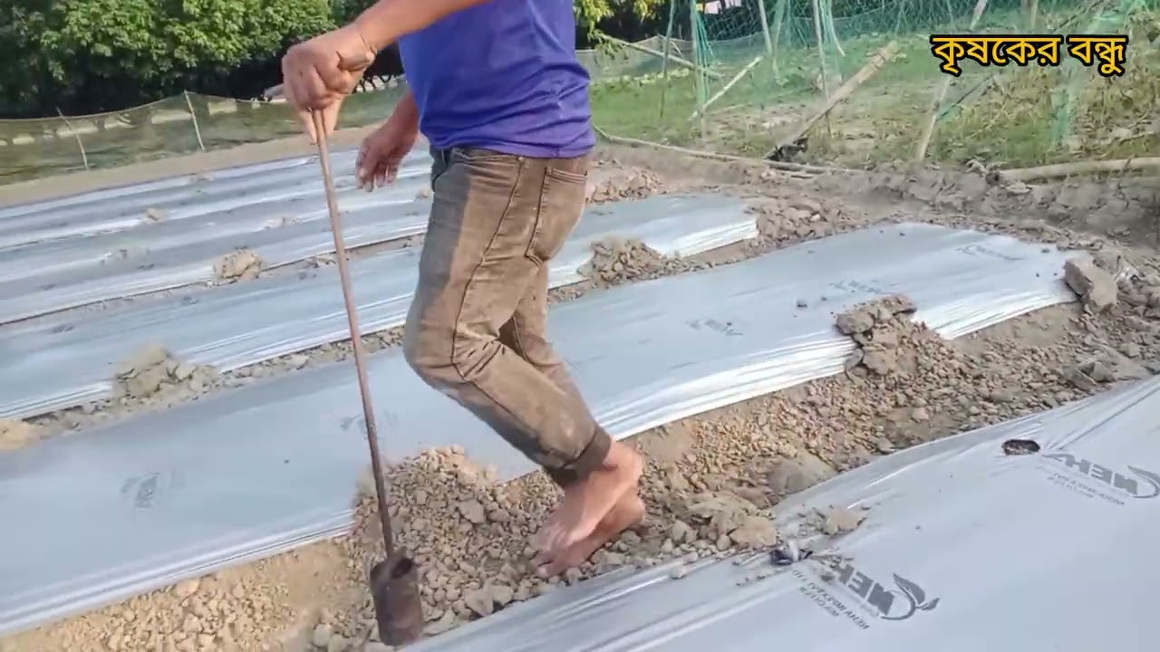 মালচিং কাটিং করার সহজ উপায় 