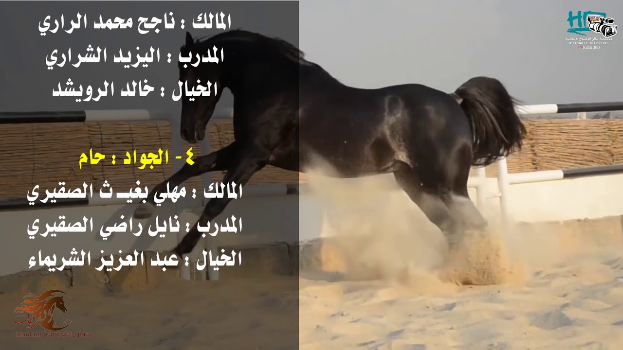 الحفل الثامن لموسم سباقات عام 1439 هـ بميدان فروسية القريات