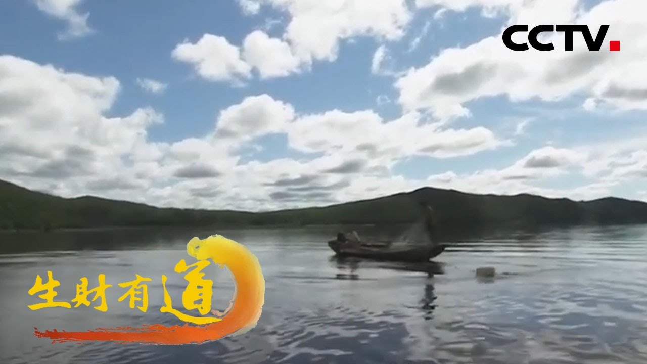 黑龙江饶河：这里鱼的吃法千奇百怪 这里鱼的用途五花八门「生财有道」20220620 | CCTV财经