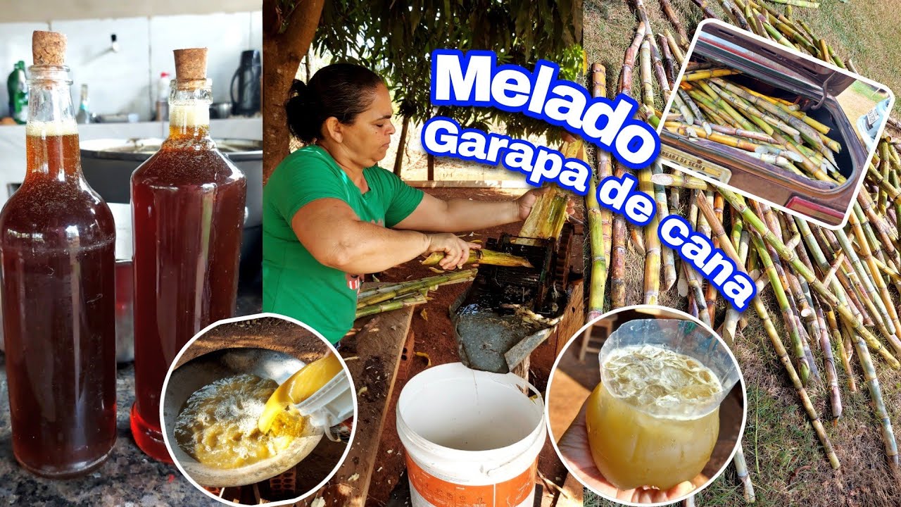 Dona Maria Mostra como fez 8 litros de melado de cana em um dia 😲🌱
