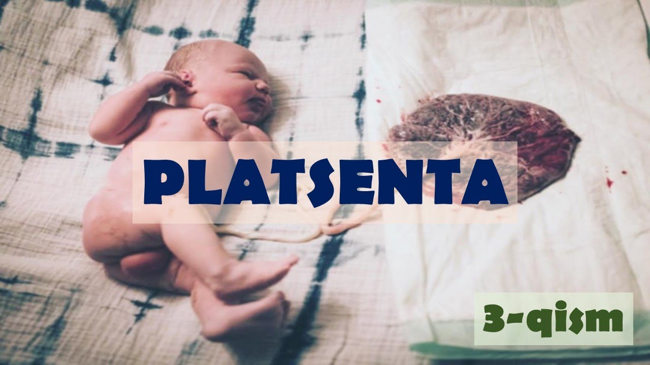 PLATSENTA ORQALI MODDALAR HARAKATI