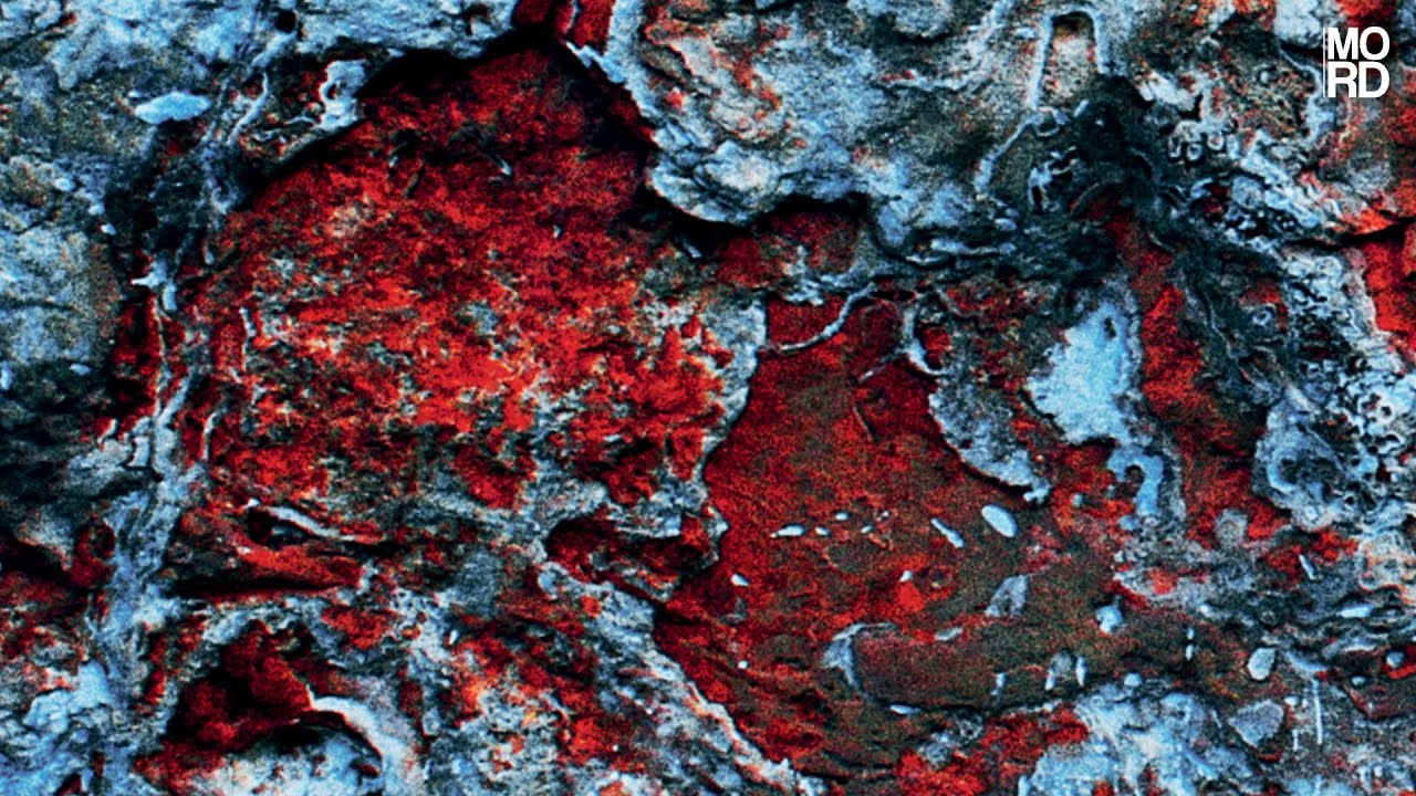 Quelza  - La Malsaine [Mord084]