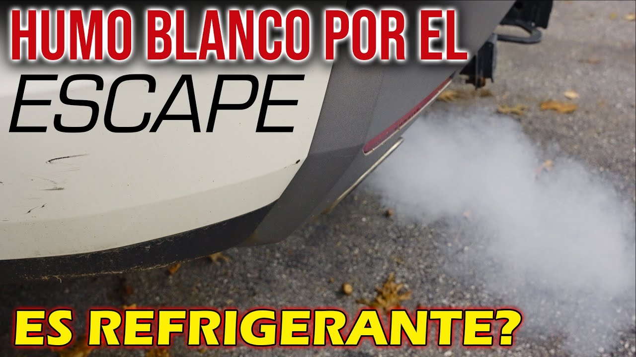Humo blanco y 13 codigos en la computadora | NECESITA NUEVO MOTOR fué lo que diagnosticaron.