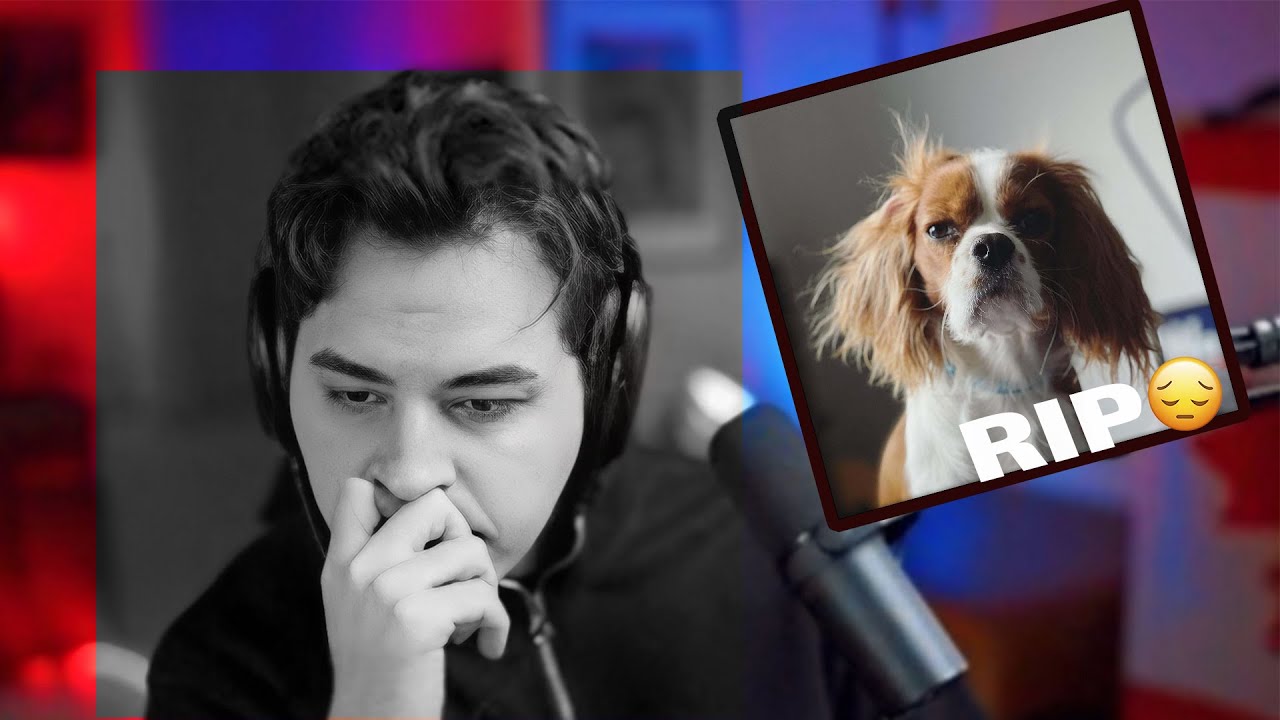 RIP MOCHI 😞🖤 حرف های آریا راجع به از دنیا رفتن موکا