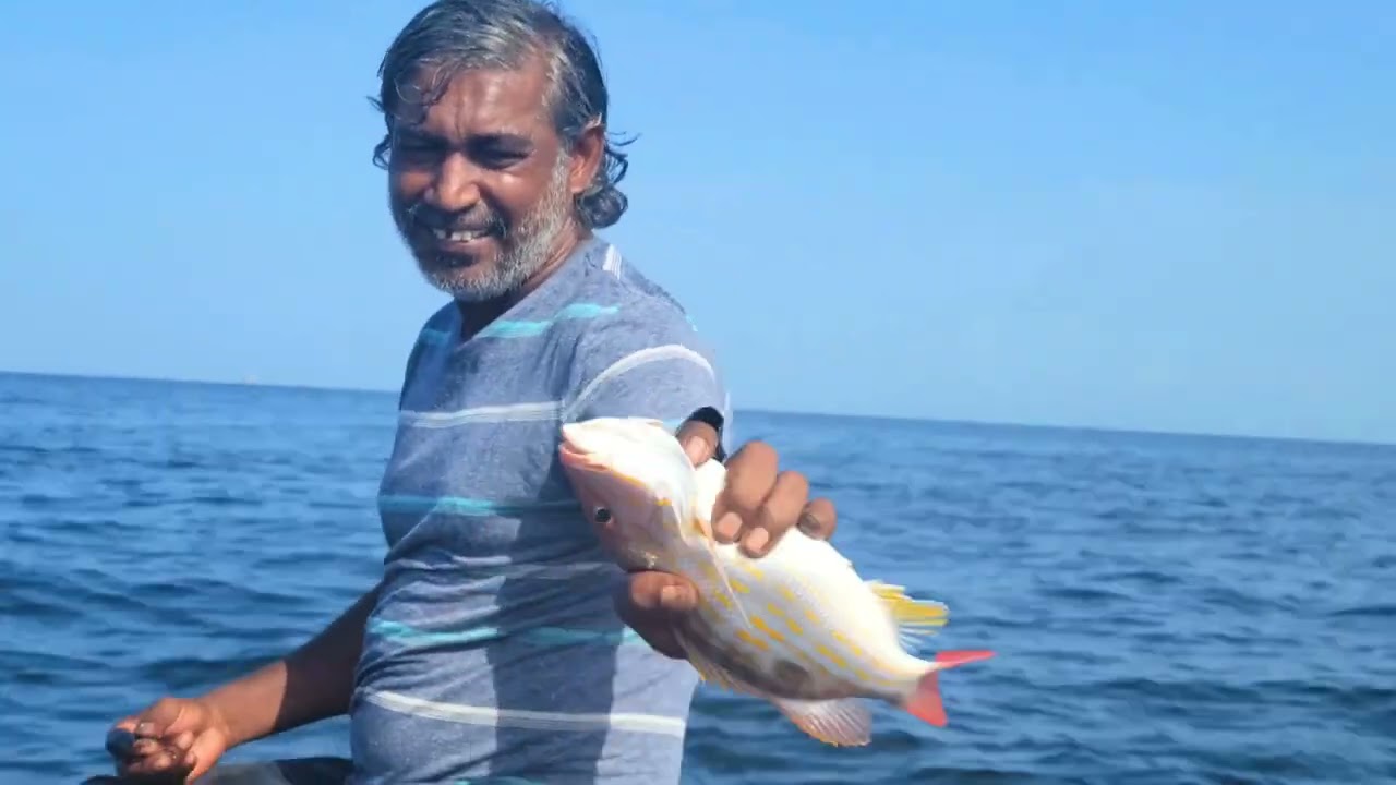 A la vie fishing🐠🦈 for Kingfish