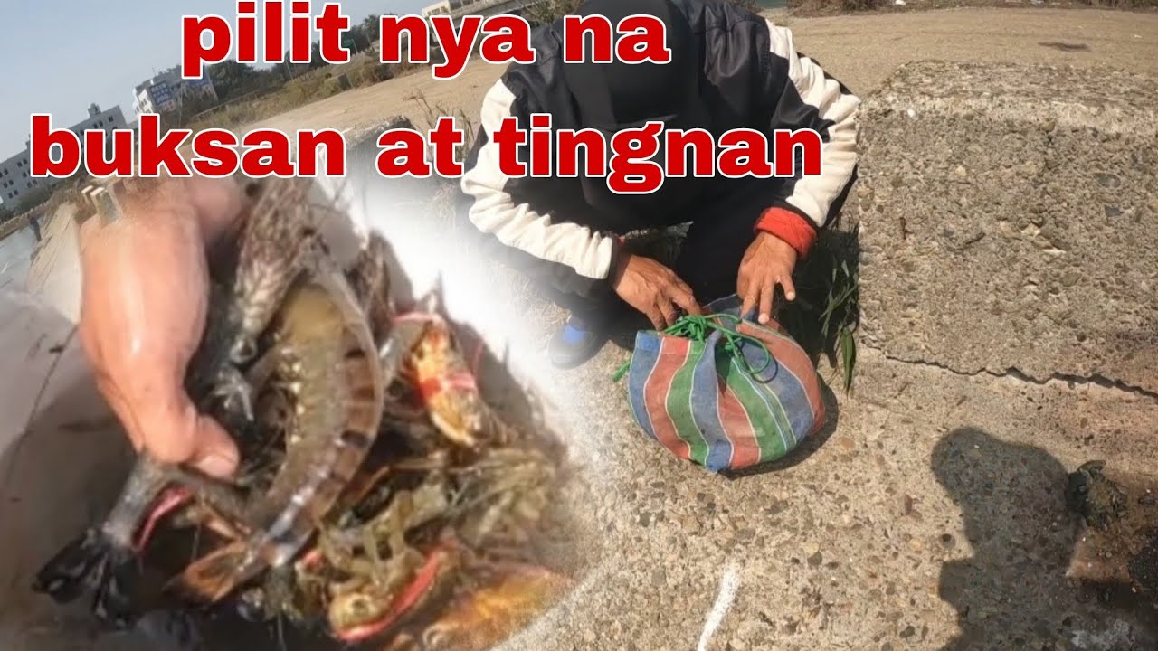Pinipilit nya silipin‼️  buksan Ang lagayan ko Ang gusto nya ay Buhay na isda