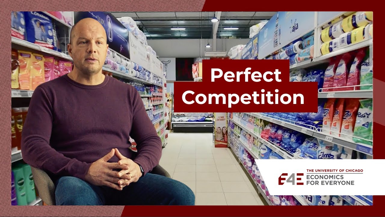 Perfect Competition | Economics For Everyone