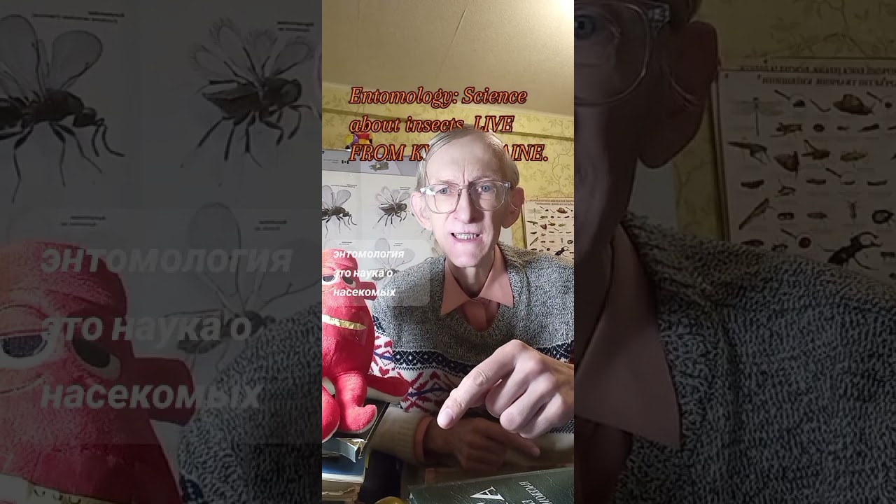 Entomologist Tells about Insects: Wild Bees Wasps Hornets, Entomology Study. ЭНТОМОЛОГ ПРО КОЛЛЕКЦИИ