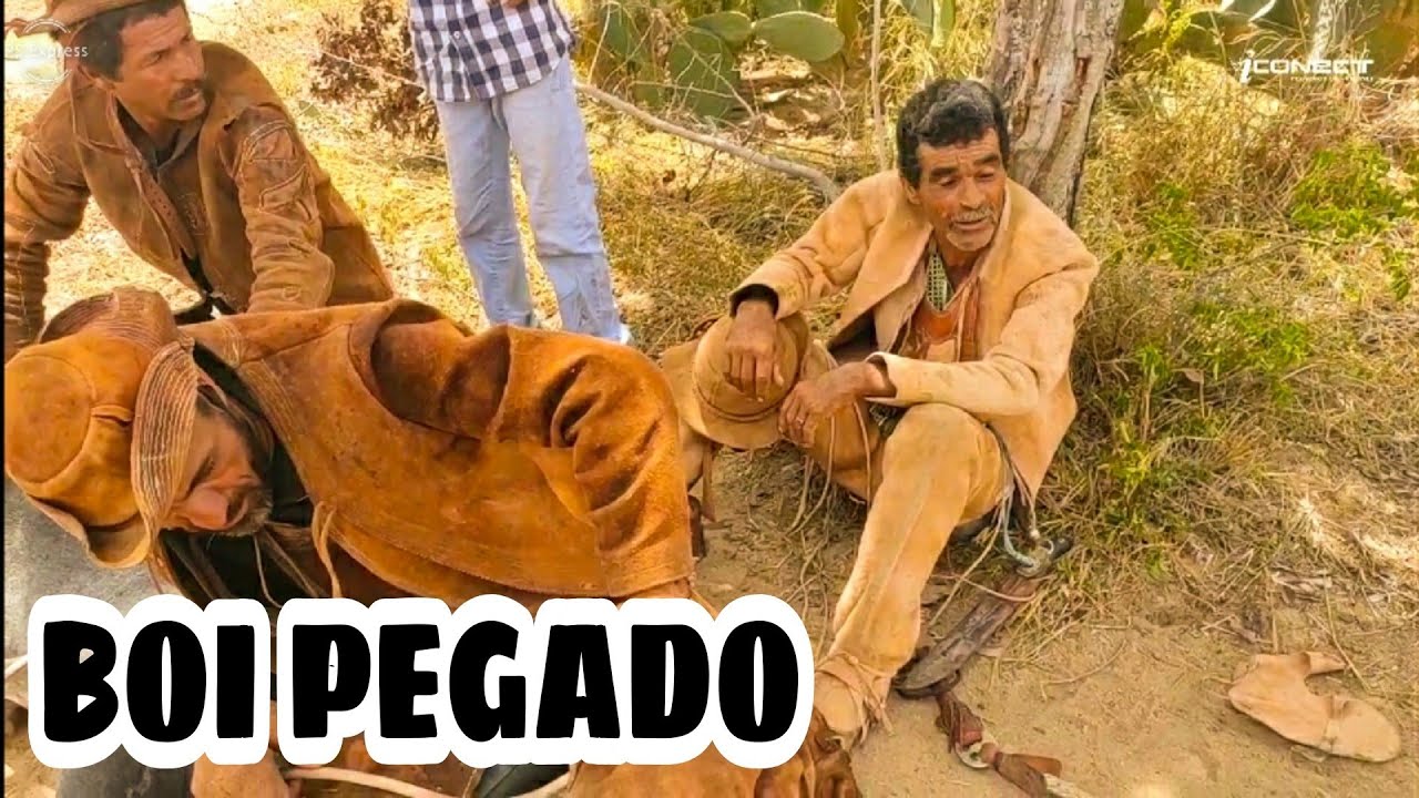 Pega de boi no mato parte2 Weslley Ygor Zoinho e Champoo