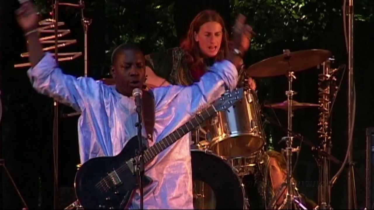 Vieux Farka Touré - 5 - LIVE at Afrikafestival Hertme 2008