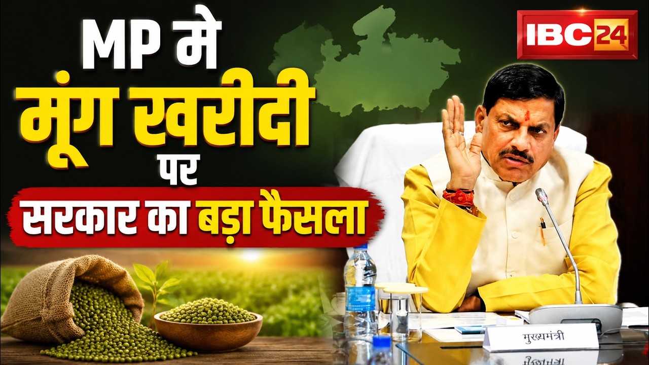 Major government decision on moong procurement in MP | Now 60% of moong produce will be procured ...