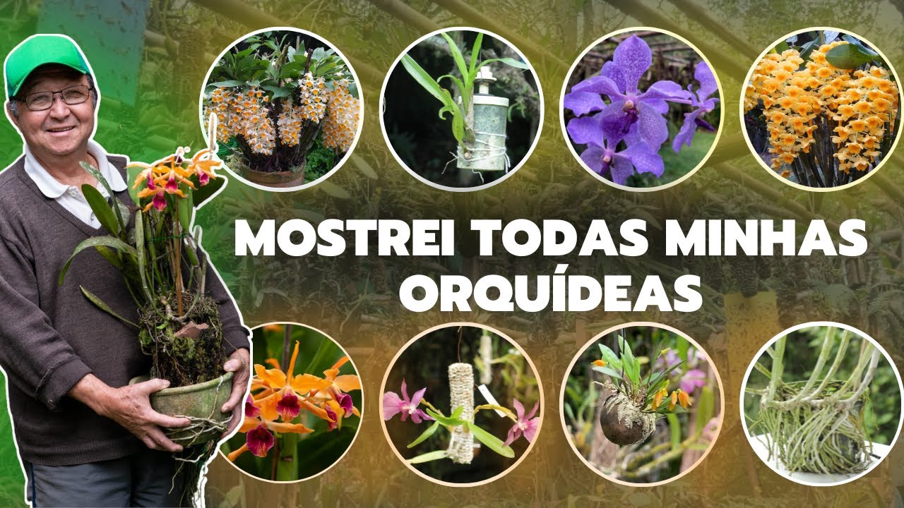 MAIS DE 10 MIL PLANTAS NO MEU SÍTIO - Masuji Kayasima