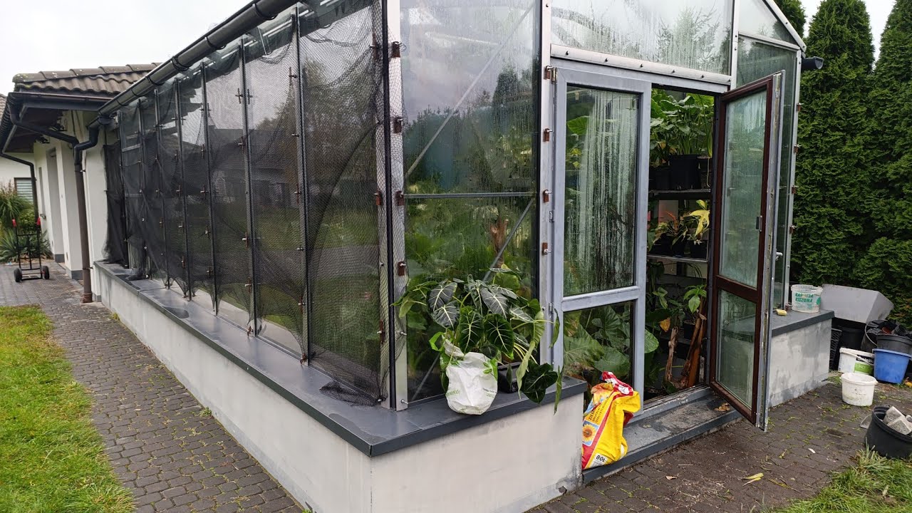 General condition of plants in the greenhouse - March 13.