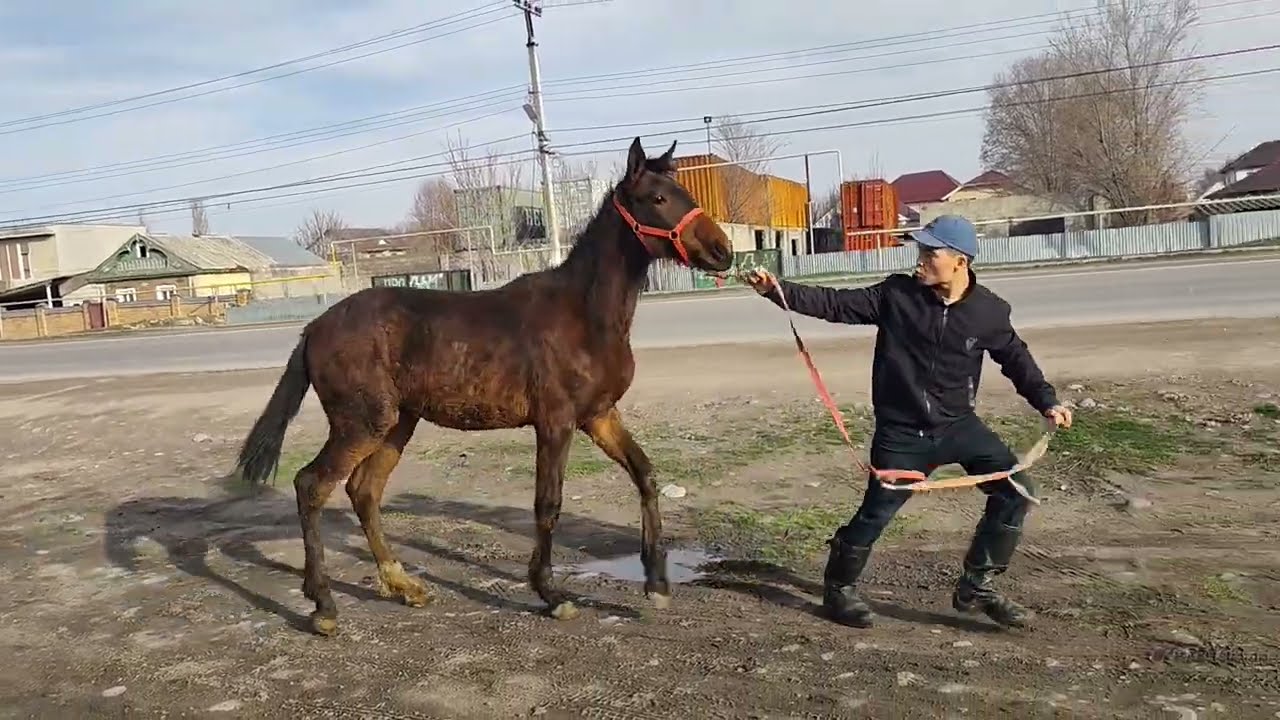 Сатылды. 
