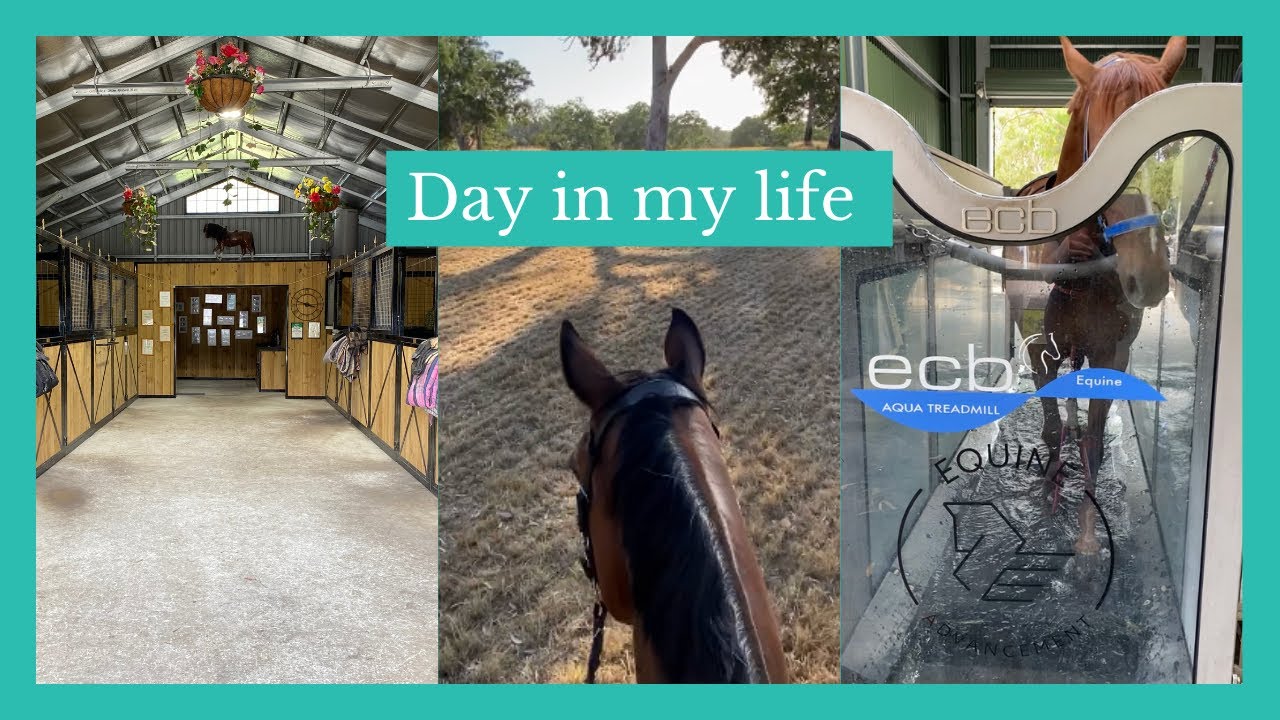 Day in the Life of a Dressage Rider