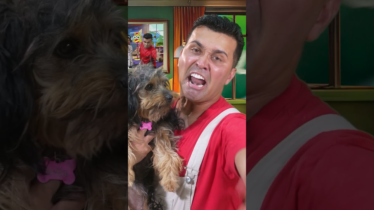 Falta pouco!! Dia 22/04 as 12:00 O Clipe mais esperado do ano! N&atilde;o mexa Com Meu Pet - Os Poti Poti