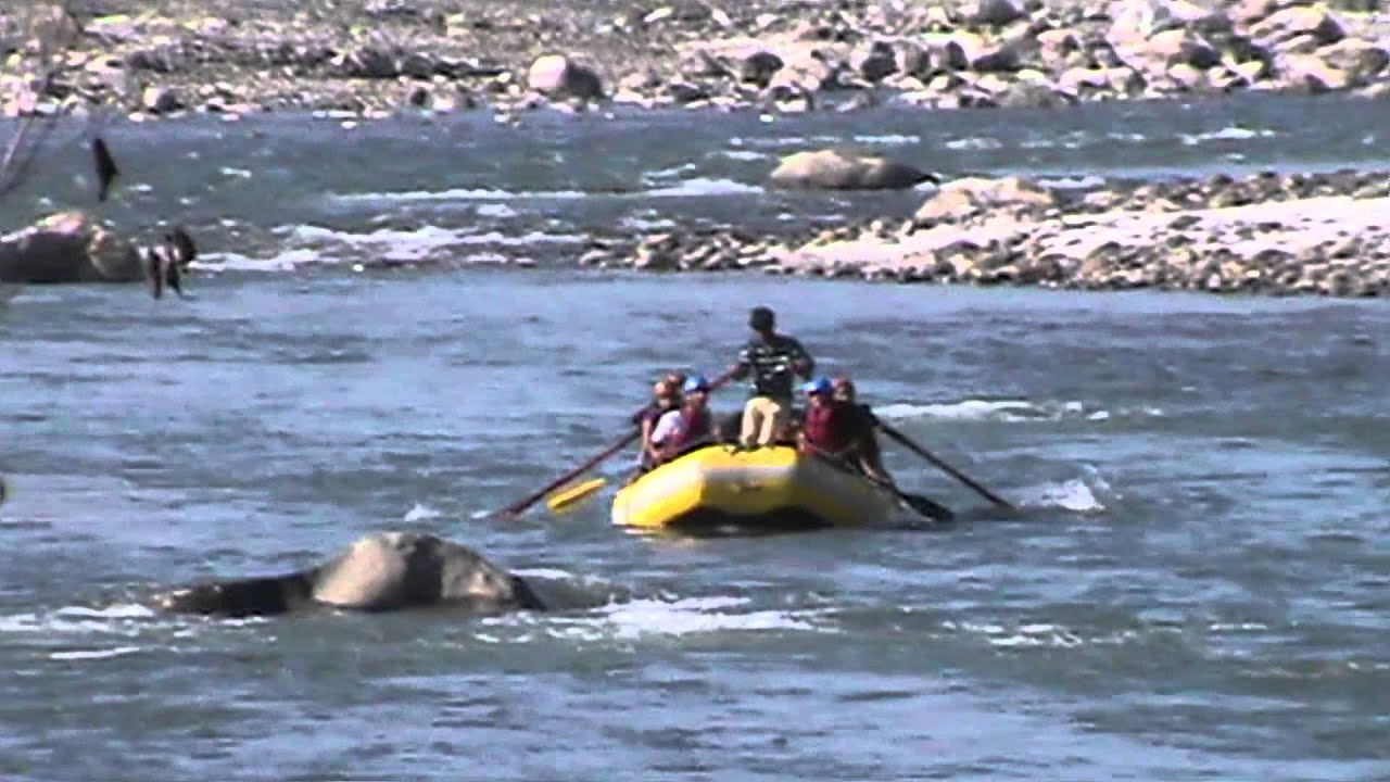 River Rafting Kullu Manali Kesari Couple
