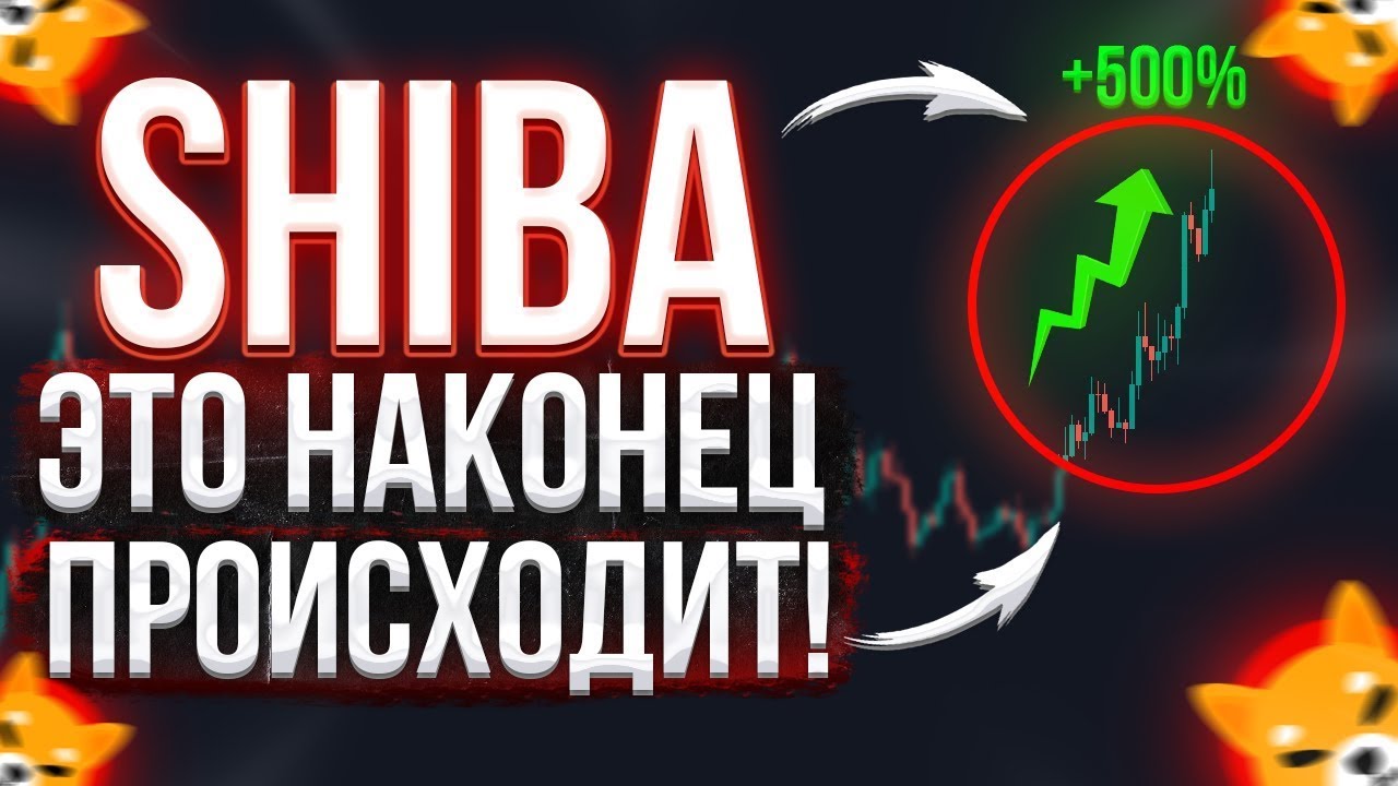 ШИБА - РОСТ МОНЕТЫ ПРЕДСКАЗЫВАЮТ В ТВИТТЕРЕ!
