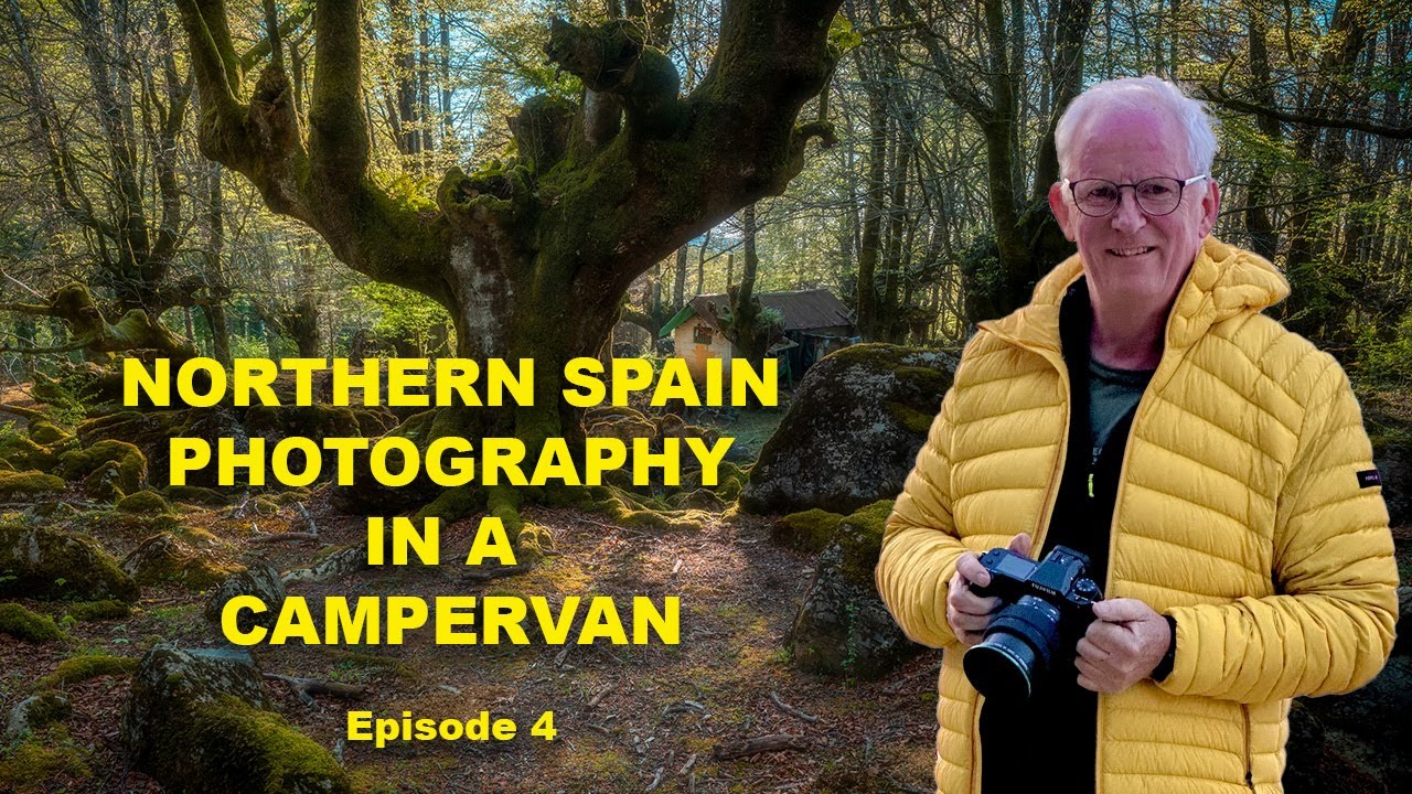 Epic coast and spooky forest in Northern Spain
