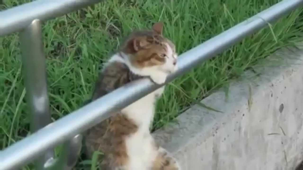 Fail Compilation May 2014 | Best Fails & Funny Fails