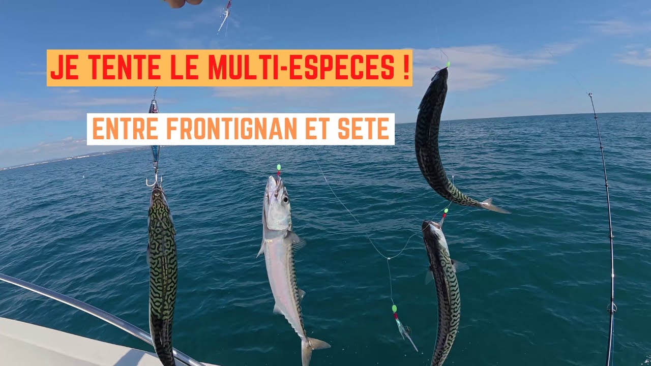 MULTI-ESPECES entre FRONTIGNAN et SETE