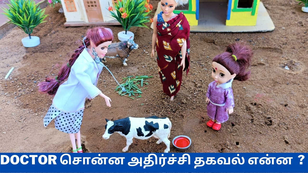 Doctor சொன்ன அதிர்ச்சி உண்மை என்ன | #thelittlecookdorabora