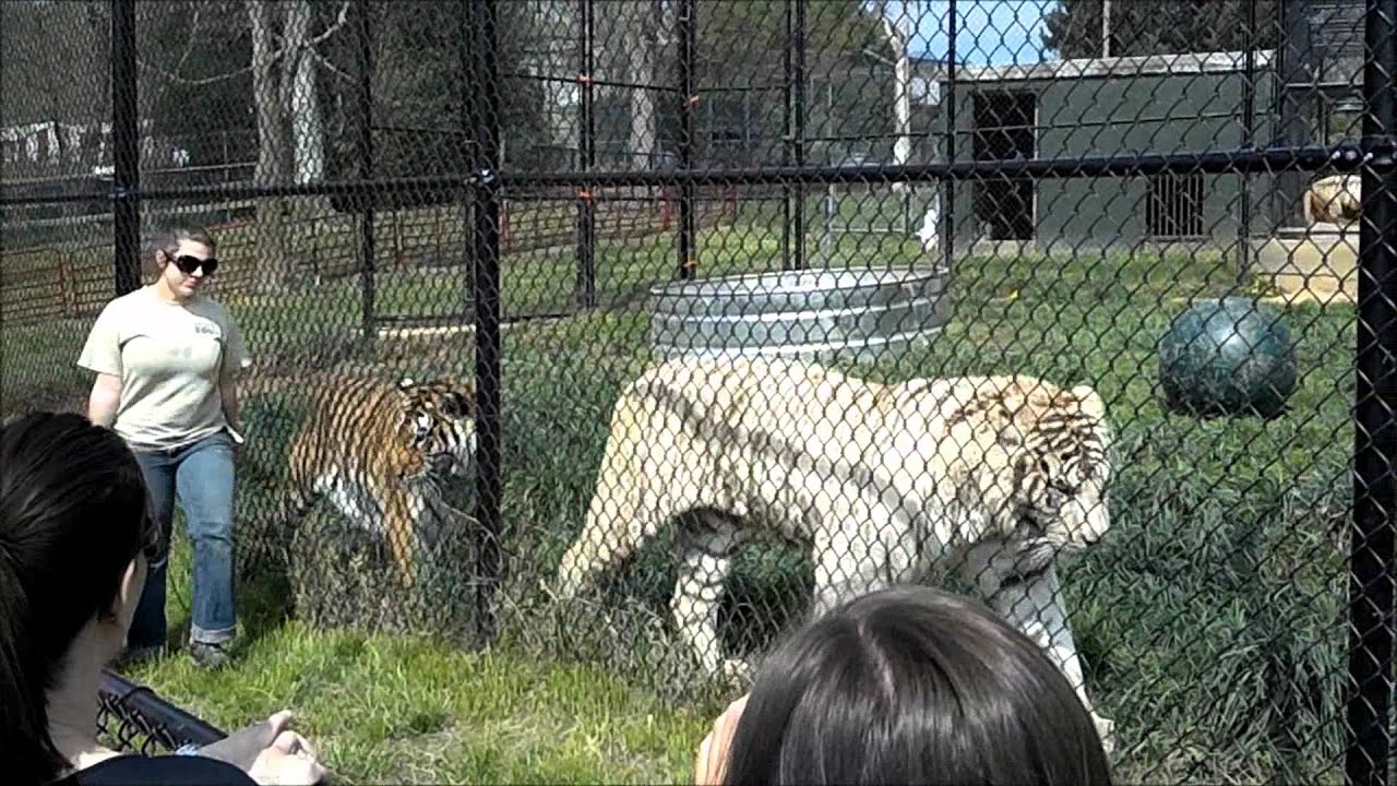 Natural Bridge Zoo   April 1 2012 FULL
