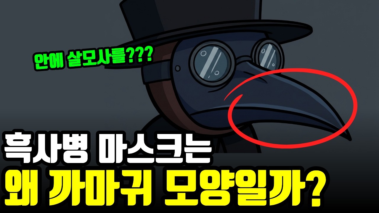 마스크 안에 '살모사 가루'를 채워 넣었다고? 17세기 흑사병 의사들의 방역법