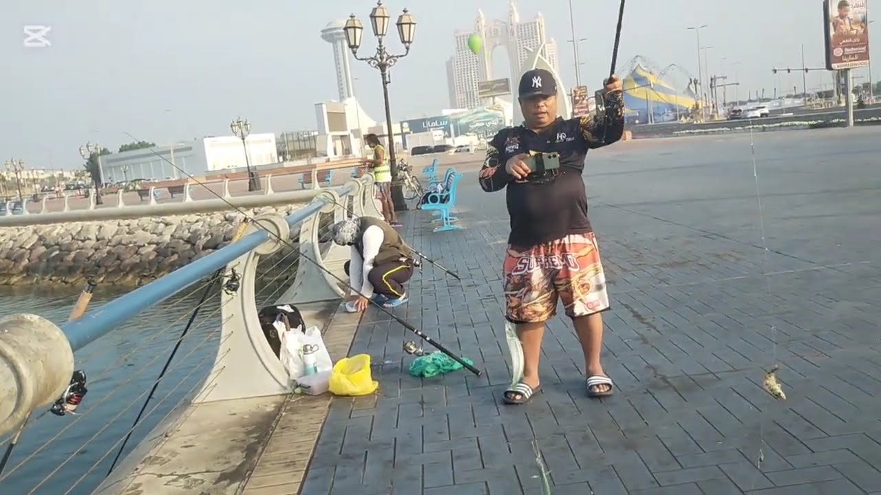 Harvest time niddle fish batalay marina bridge abudhabi city UAE Helim family bingweters group 