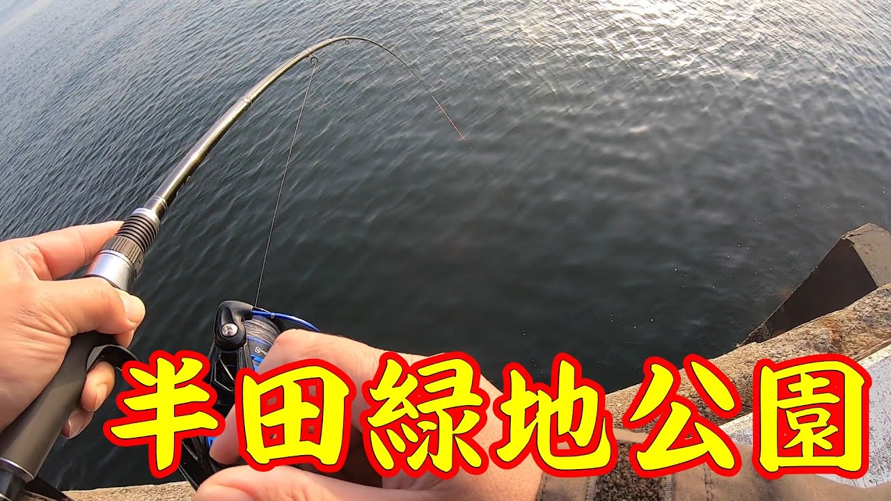 【半田緑地公園】釣り/海釣り/かぶせ釣り/カキチヌ/半田緑地公園/衣浦湾/クロダイ/チヌ/キビレ/セイゴ/マダカ/スズキ/シーバス